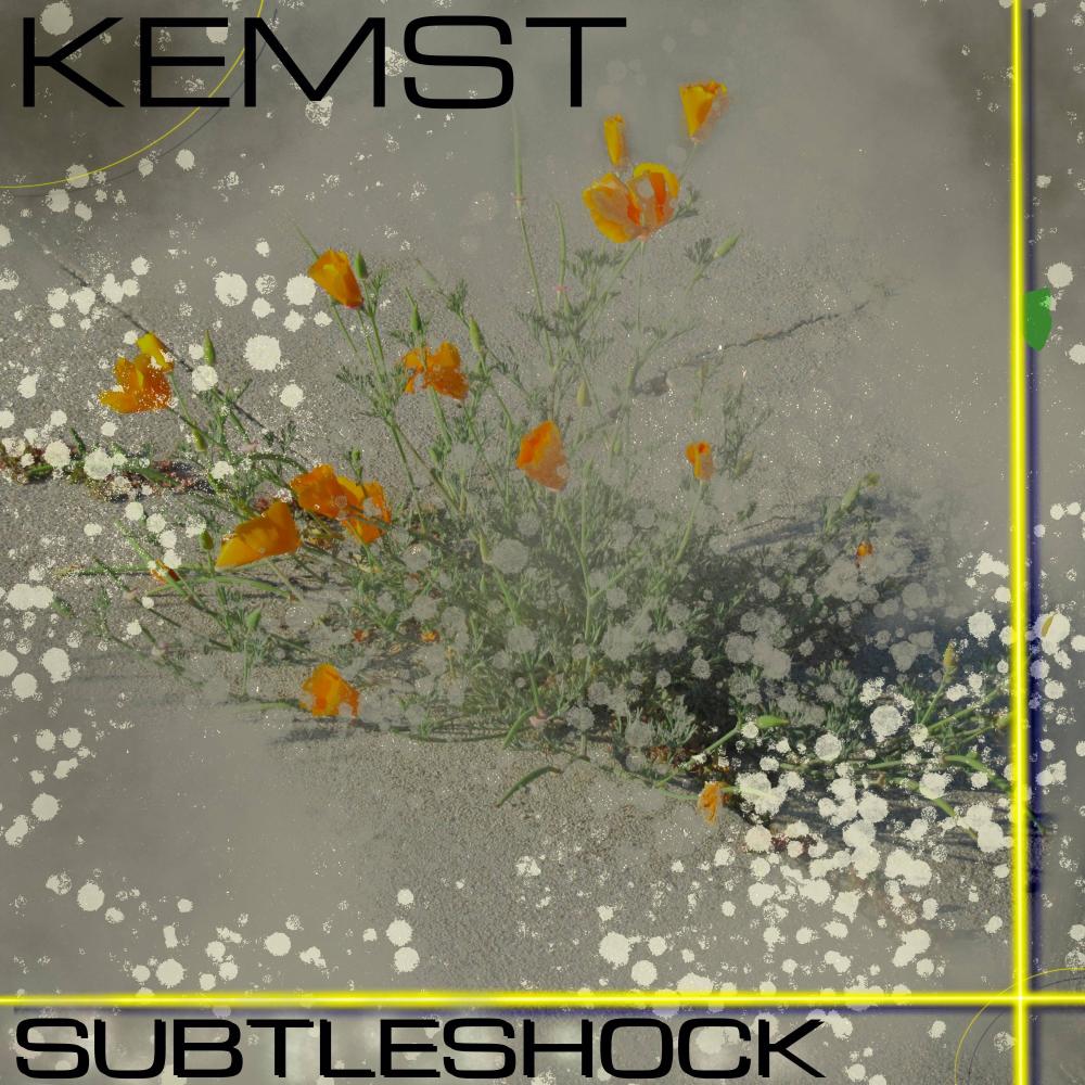Subtleshock