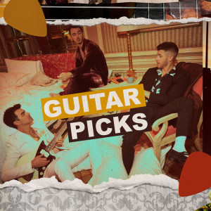 Jonas Brothers的專輯GUITAR PICKS