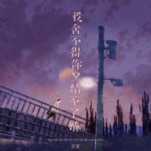Listen to 我舍不得你又结不了婚 (伴奏) song with lyrics from 任夏