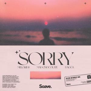 Album Sorry from 