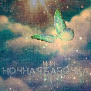 Listen to Ночная бабочка song with lyrics from Fein