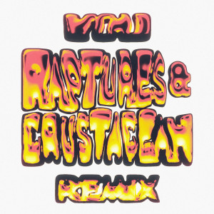 Raptures.的專輯You (Raptures & Crustacean Remix)