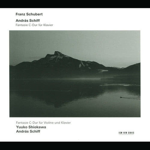 Schubert: Fantasia for Violin and Piano in C, D.934 (Op.posth.159)