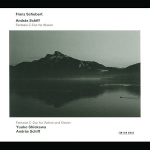 收聽Andras Schiff的Schubert: Fantasia for Piano in C, D.760 (Op.15) "Wanderer-Fantasie"歌詞歌曲