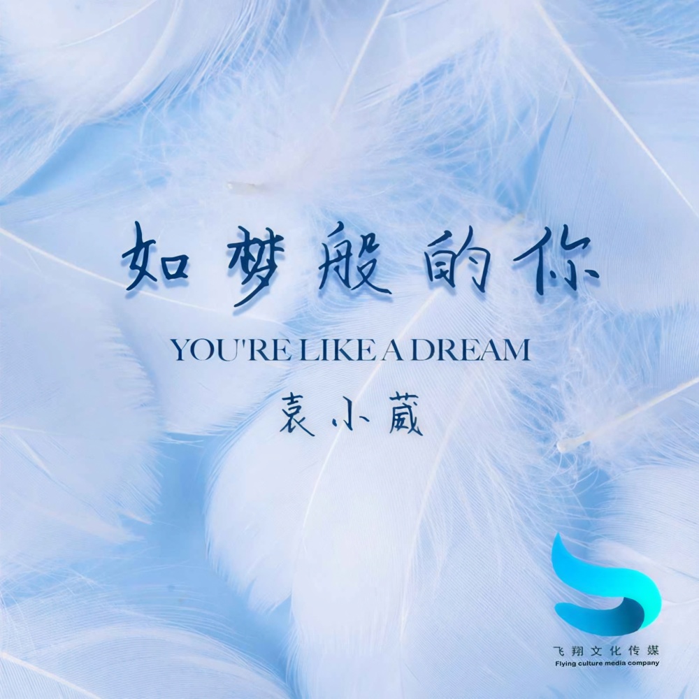 如梦般的你 (现场版)