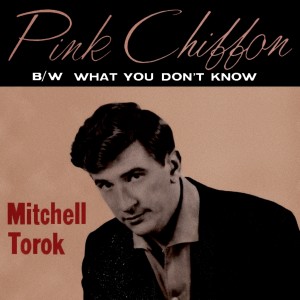 的专辑Pink Chiffon / What You Don't Know (Won't Hurt You)
