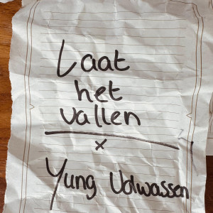 Album Laat Het Vallen from Yung Nomo