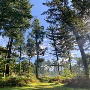 收聽jaur3的Bleid歌詞歌曲