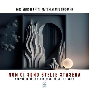 Arturo Vado的專輯NON CI SONO STELLE STASERA (Artisti uniti cantano Arturo Vado)