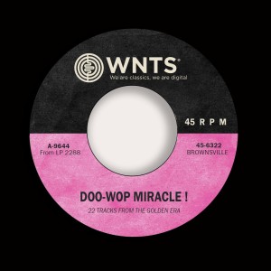 Various的專輯DooWop Miracle !