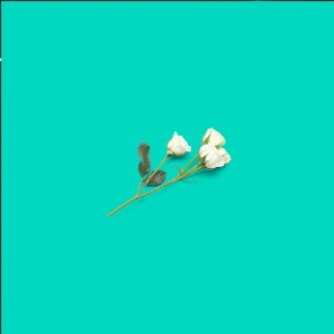 ดาวน์โหลดและฟังเพลง I'm Not in Love พร้อมเนื้อเพลงจาก Blood Handsome