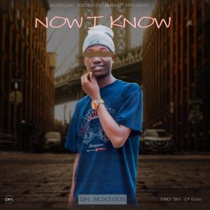 收聽Dm Noxious的Now i know (Explicit)歌詞歌曲