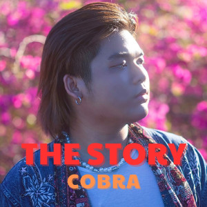 Album The Story oleh Cobra
