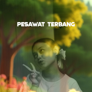 收听Eika Safitri的Pesawat Terbang歌词歌曲