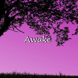 T.E.K的專輯Awake