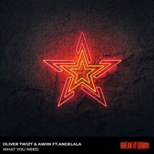 Listen to What You Need song with lyrics from Oliver Twizt