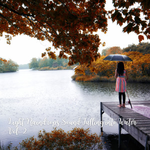 Relaxation Playlist的專輯Light Raindrops Sound Falling into Water Vol. 2
