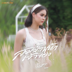 ดาวน์โหลดและฟังเพลง สมน้ำหน้าเจ้าของ (Cover Version) พร้อมเนื้อเพลงจาก มีนตรา อินทิรา