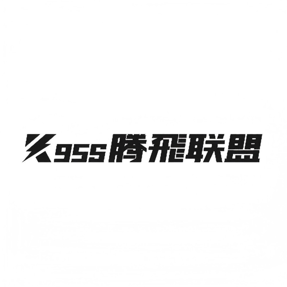 K95S腾飛联盟