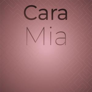 ดาวน์โหลดและฟังเพลง Don't Say Goodnight And Mean Goodbye พร้อมเนื้อเพลงจาก Shirelles