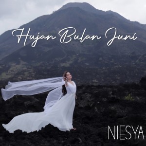 Listen to Hujan Bulan Juni song with lyrics from Irwansyah Harahap