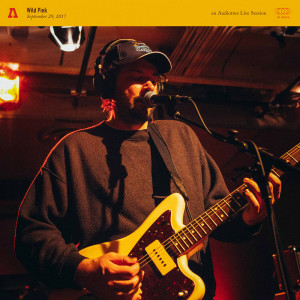 Listen to 4th of July (Audiotree Live Version) song with lyrics from Wild Pink