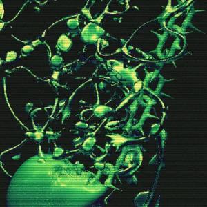 收聽The Holy的TAKE APART歌詞歌曲