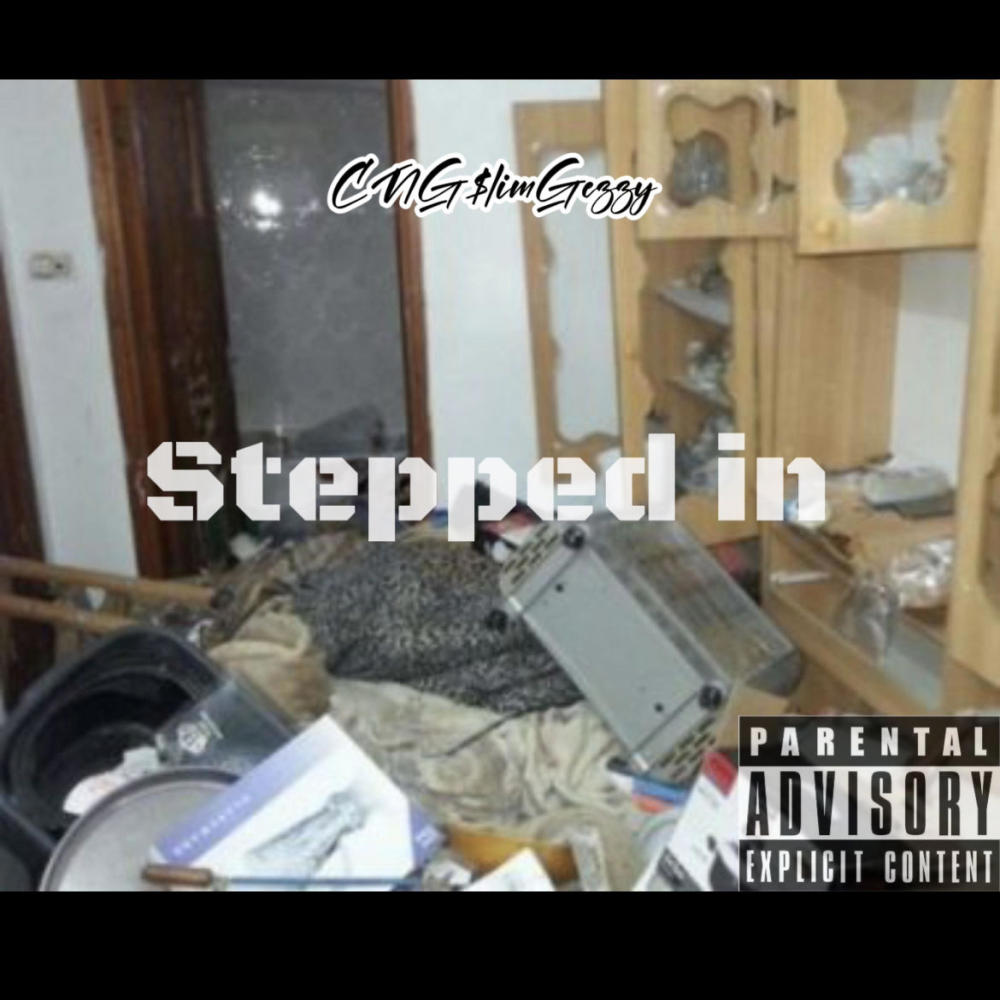 Stepped in (feat. Loweyedniggaccari, DeMac Mane & BlazaMan) (Explicit)