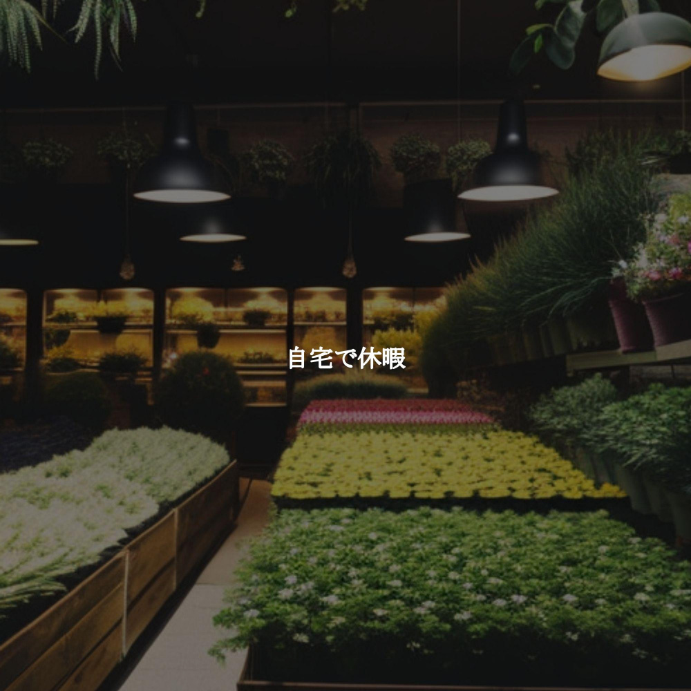 Tranquil Ambience for Daily Cleanse