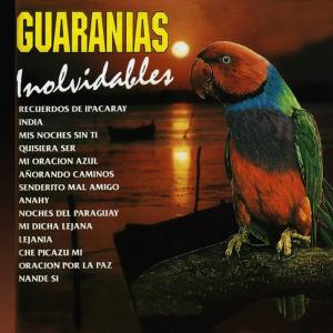ดาวน์โหลดและฟังเพลง Nande Si พร้อมเนื้อเพลงจาก Hermínio Gimenez