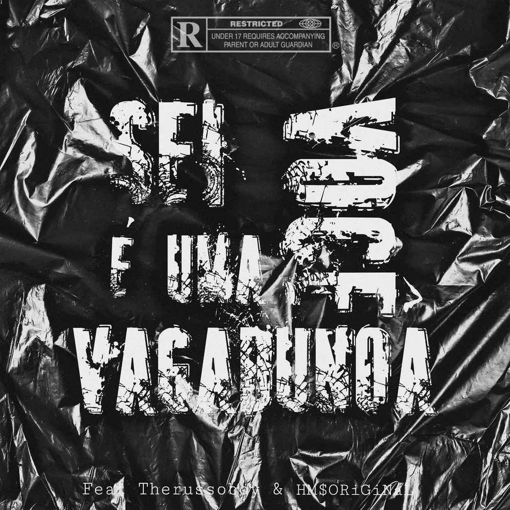 Sei Você É uma Vagabunda (Explicit)