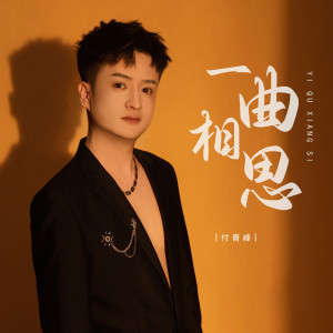 Listen to 一曲相思 (伴奏) song with lyrics from 付青峰