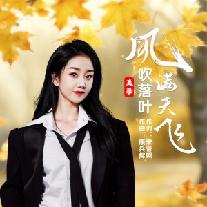 อัลบัม 风吹落叶满天飞 ศิลปิน 王馨