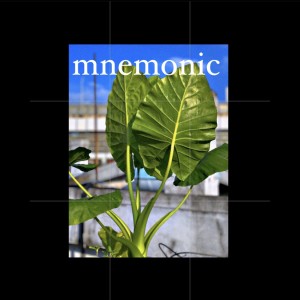 Album mnemonic oleh 잠비노 (Jambino)