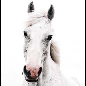 ดาวน์โหลดและฟังเพลง By the Fire พร้อมเนื้อเพลงจาก SPA