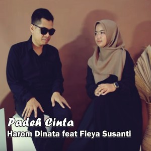 Listen to Padeh Cinta song with lyrics from Harom Dinata