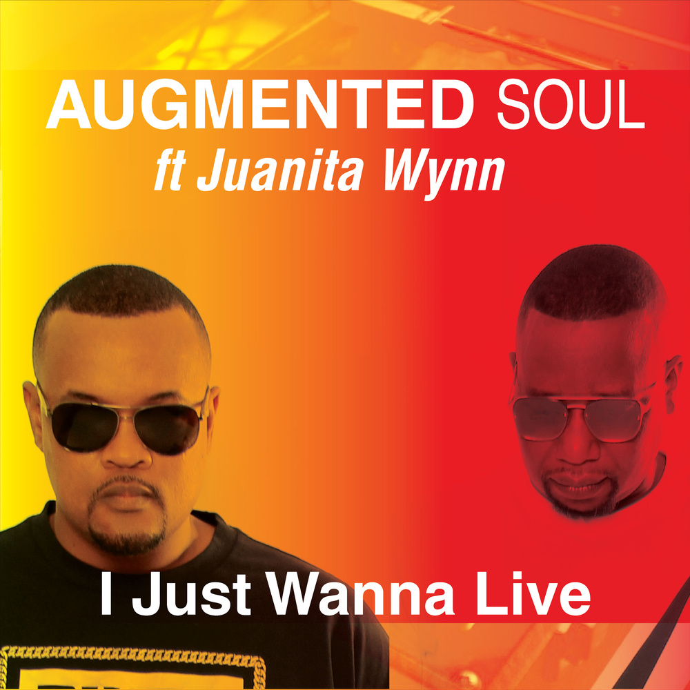 I Just Wanna Live (Instrumental)