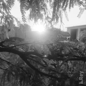 ดาวน์โหลดและฟังเพลง Viernes Tristón พร้อมเนื้อเพลงจาก L.Rey