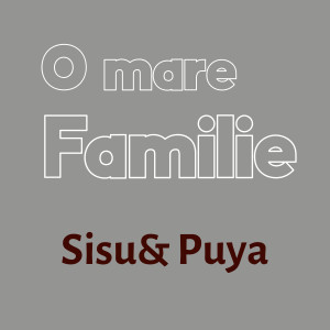 Listen to Aici e Romania (Explicit) song with lyrics from Sișu & Puya
