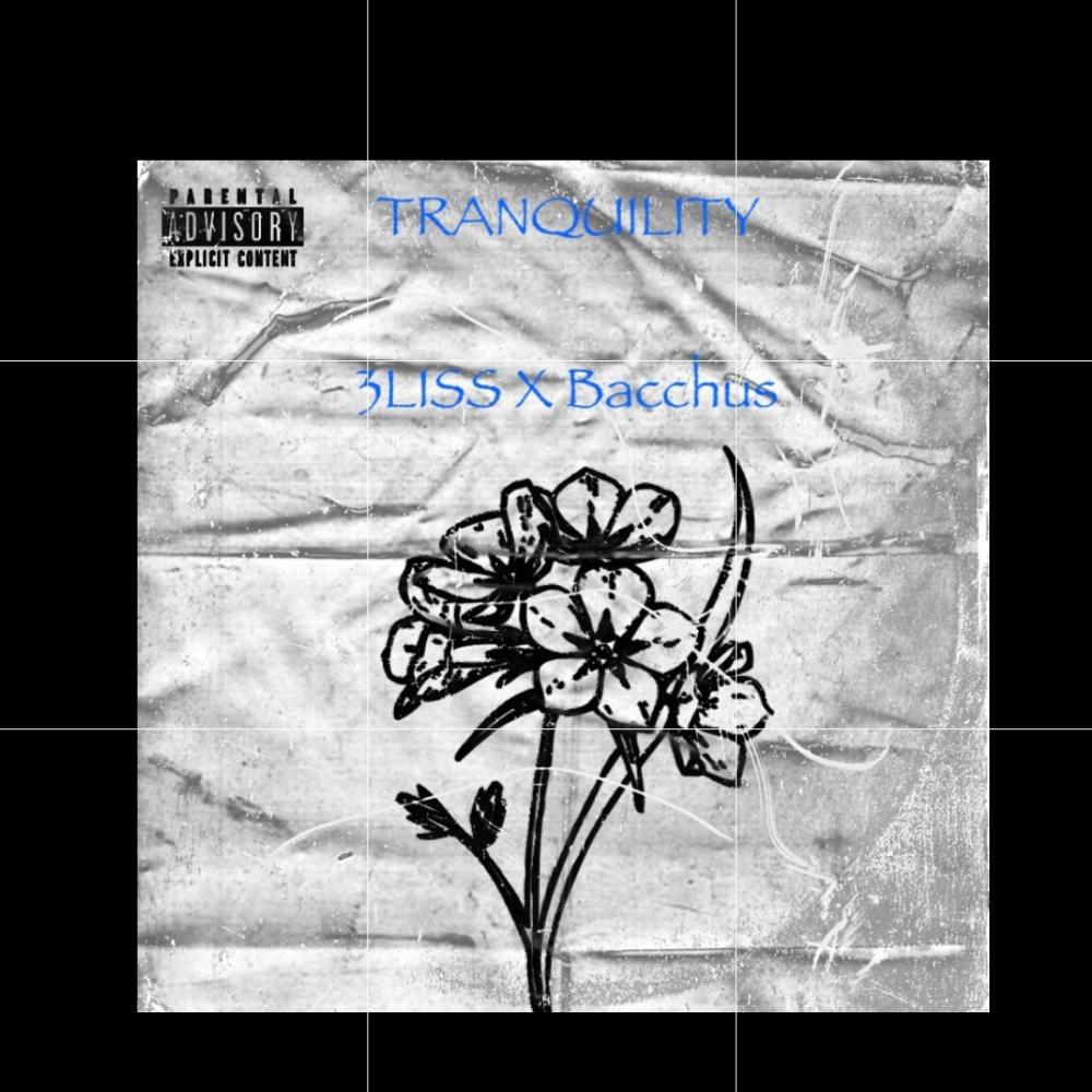 Tranquility (feat. Bacchus)