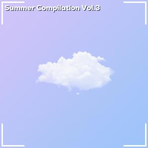 Various Artists的專輯Summer Compilation Vol.3