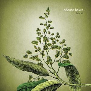 Listen to Incondicional song with lyrics from Alfonso Bekes