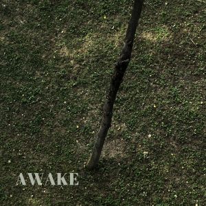 Album Awake from Irma