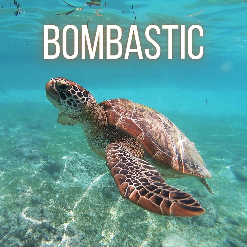 Bombastic Lova Lova
