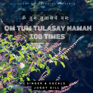 Listen to Om Tum Tulasay Namah 108 Times song with lyrics from Juggy Gill