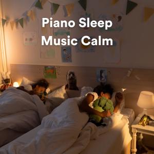 Soft Piano Music的专辑Piano Sleep Music Calm