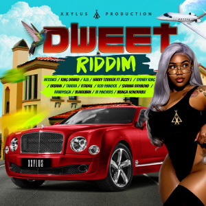 Various Artists的专辑Dweet Riddim