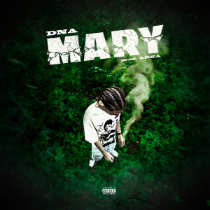 DNA的专辑Mary (Explicit)