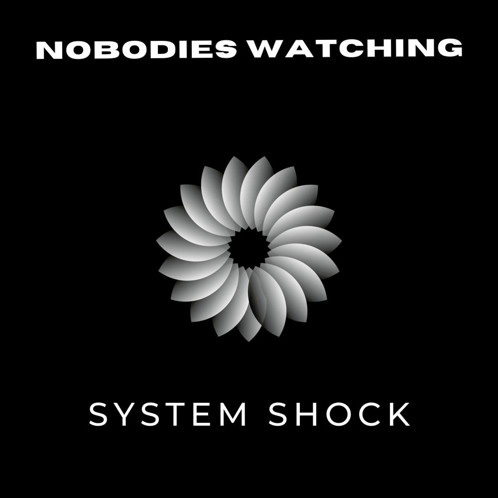 Nobodies Watching