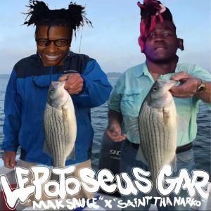 ดาวน์โหลดและฟังเพลง Lepotoseus Gar (Explicit) พร้อมเนื้อเพลงจาก Saint Tha Narko
